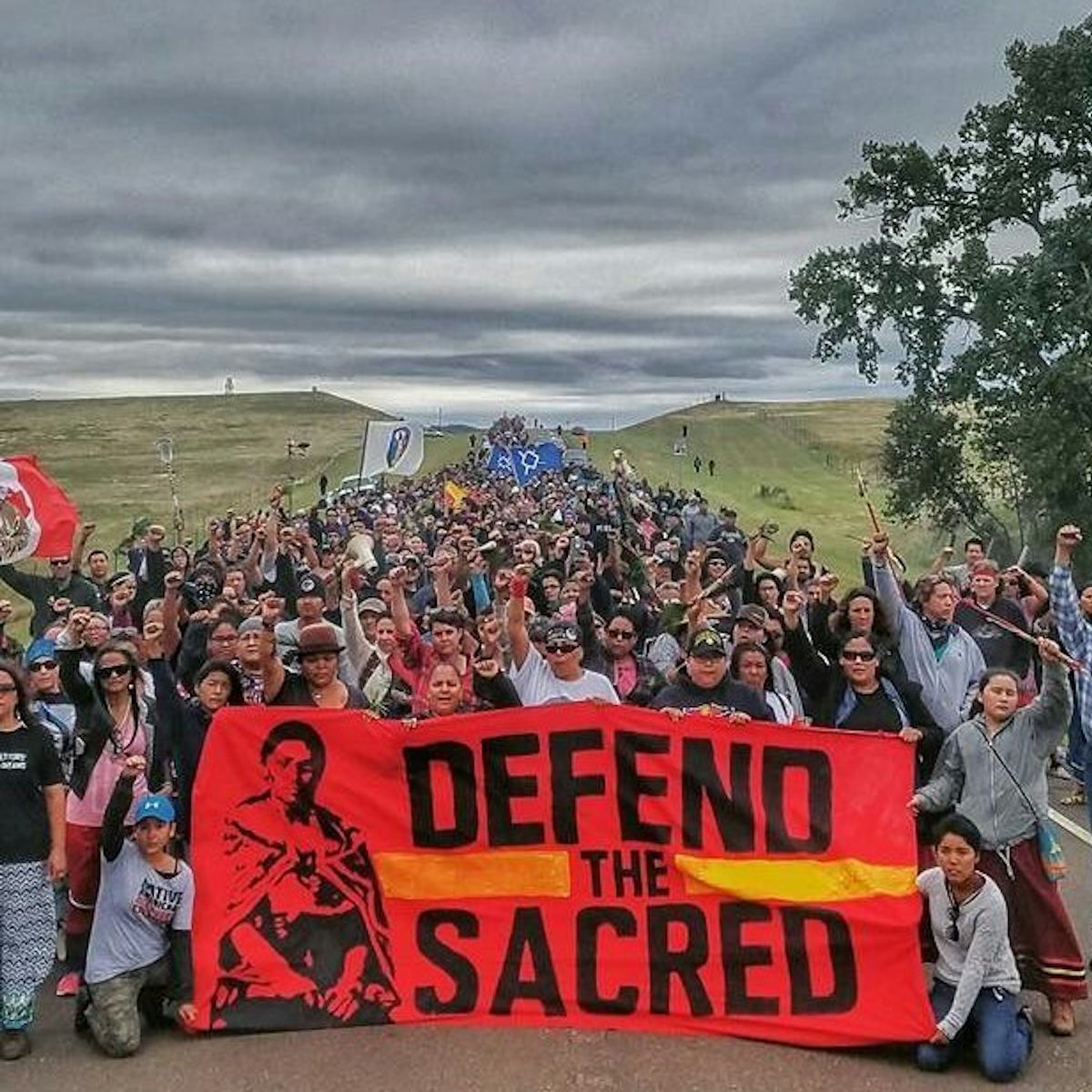 No DAPL